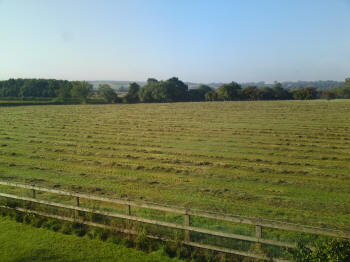 Improved Forage Crop Yields